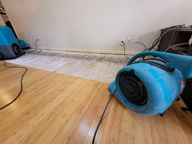 Professional Water Extraction technician working in Sturtevant, WI